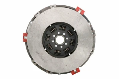 AL658922.jpg
