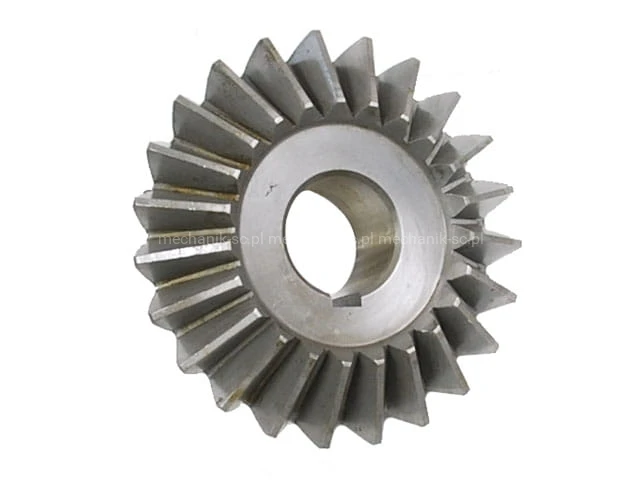 605587.JPG