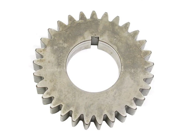 Z11550.JPG
